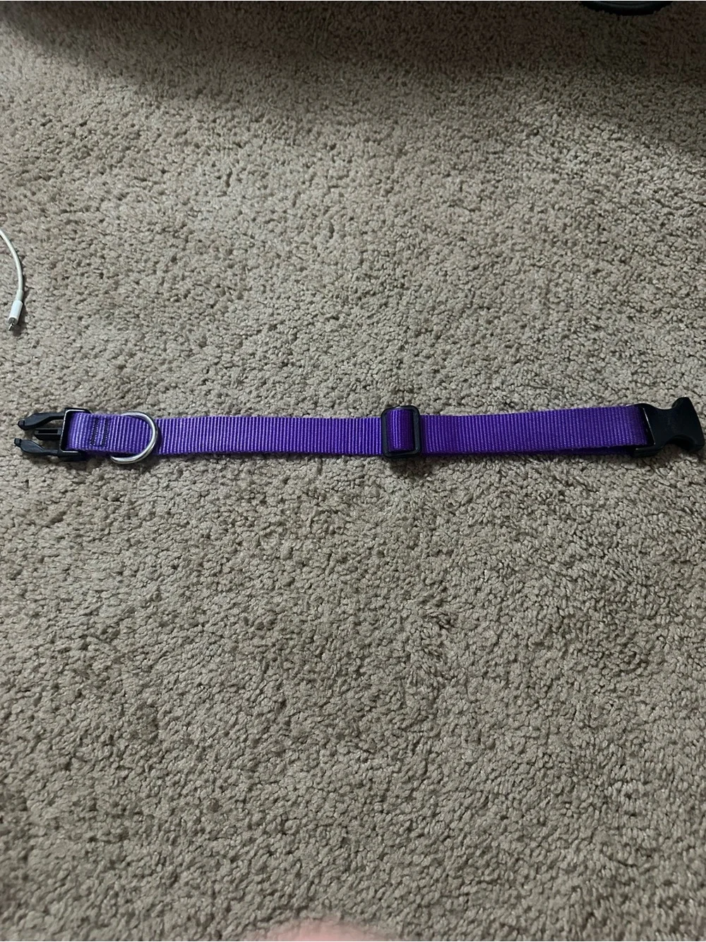 Medium/Large Adjustable Purple Dog Collar with Quick-Release Buckle